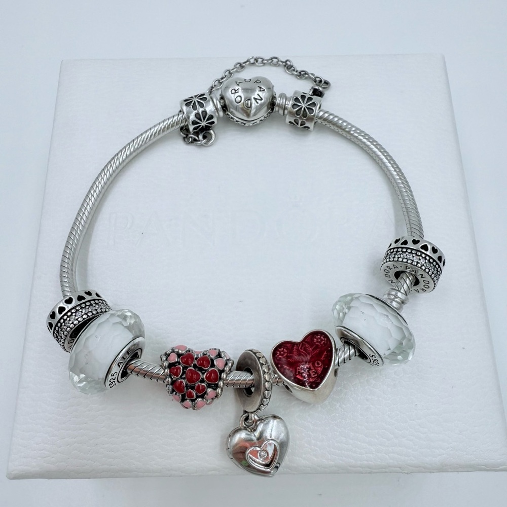Pandora Bracelet & Charms